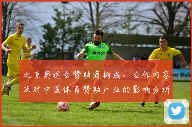 北京奥运会赞助商构成、合作内容及对中国体育赞助产业的影响分析