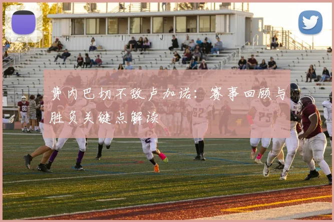 费内巴切不敌卢加诺：赛事回顾与胜负关键点解读
