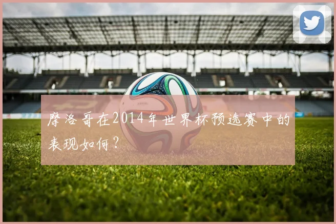摩洛哥在2014年世界杯预选赛中的表现如何？