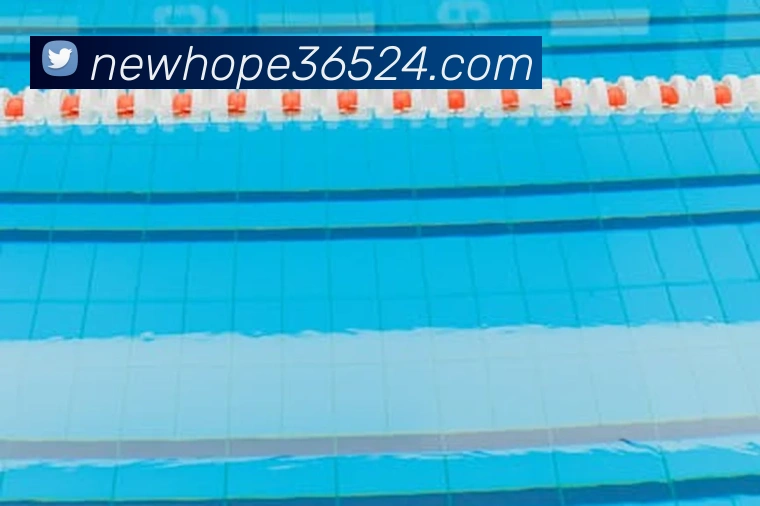 App Interface Preview