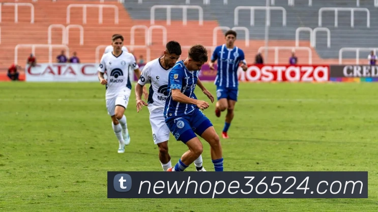 开云在线登录入口官网APP 封面图